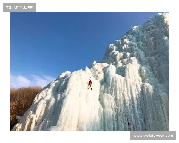 阿根廷火地岛举办南极探险滑雪赛 参赛者需携带生存装备挑战极寒环境 阿根廷火地岛举办南极探险滑雪赛 参赛者需携带生存装备挑战极寒环境